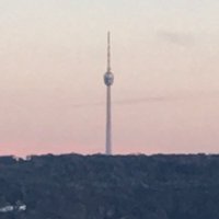 Iris Volk (@funkvolk) 's Twitter Profile