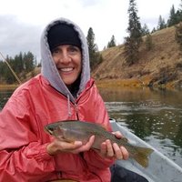 Helena Seiver (@hmseiver) 's Twitter Profile