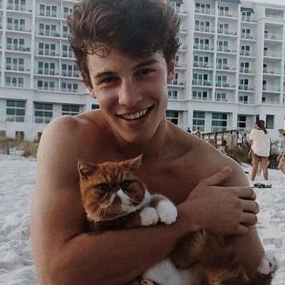 mendesarmyFT's profile picture. Um novo projeto de Follow Trick para Mendes Army e para ajudar o cantor Shawn Mendes em votações