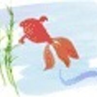 seshilu (@seshilu) 's Twitter Profile
