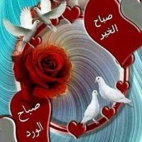 شايب صديق الشياب (@nomi5cs4tukn8w2) 's Twitter Profile