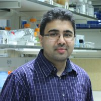 Sandeep Venkataram (@s_venkataram) 's Twitter Profile