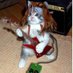 Montse lindo gatito (@montmisi) Twitter profile photo Montse lindo gatito (@montmisi) Twitter profile photo