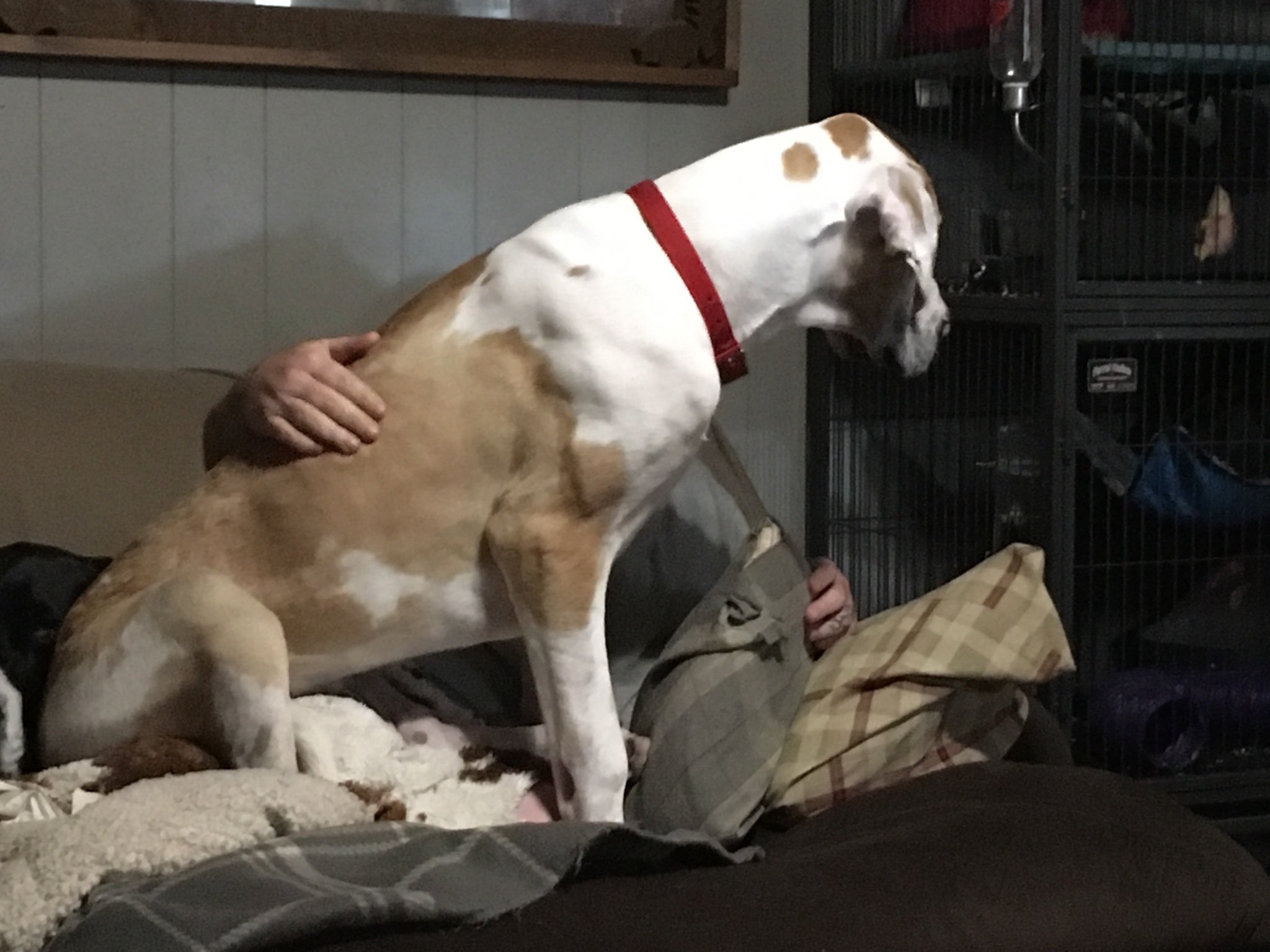 Kellye31209523's profile picture. 