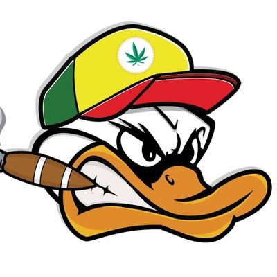 26 Year Old Stoner Canuck
bad at games
has an awful twitch channel