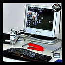 easyextramoney's profile picture. Working on the Internet