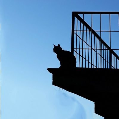 DaniArti12's profile picture. Gestor de cuentas. Vendedor de cosas. Nunca me gustaron los números, pero siempre acabo haciendo el numerito. Casado con una sexóloga (en casa del herrero...)