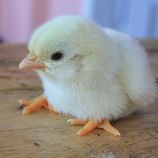 DaveGreenwold's profile picture. please clap