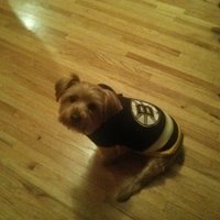 Mike Truk (@mleanalyst) 's Twitter Profile Photo Mike Truk (@mleanalyst) 's Twitter Profile Photo