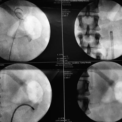 @luisaforero Profile