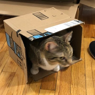 RRRan2333's profile picture. 悄悄地盼望着me self approaching アラサー