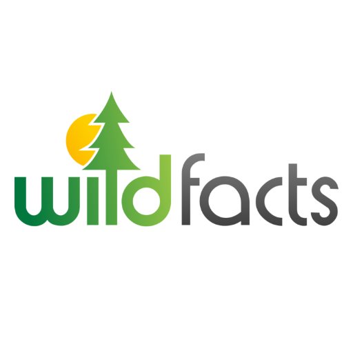 Wild facts