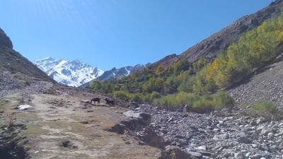 Born in Afghanistan, Lives in Panjshir, Works as a teacher.