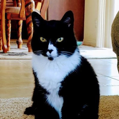 LindaSm50874384's profile picture. Republican, Business Owner, Wife, Mother, Grandmother #MAGA #CONSERVATIVE #TRUMP #SAVE CA ‼️🇺🇸