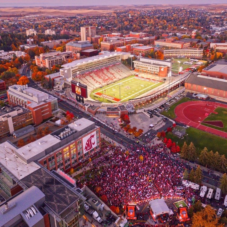 Wazzu32's profile picture. Wazzu, M’s, Seahawks, Sonics