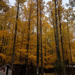 Cataract Lake Cabins Community Facebook