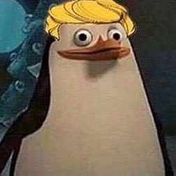 Kacper100258's profile picture. This is epic. Yeet