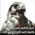 falcon (@falcon4884) Twitter profile photo