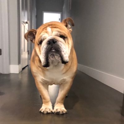 Waxman1199's profile picture. 