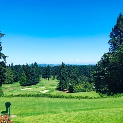 NickS0521's profile picture. I like turtles...