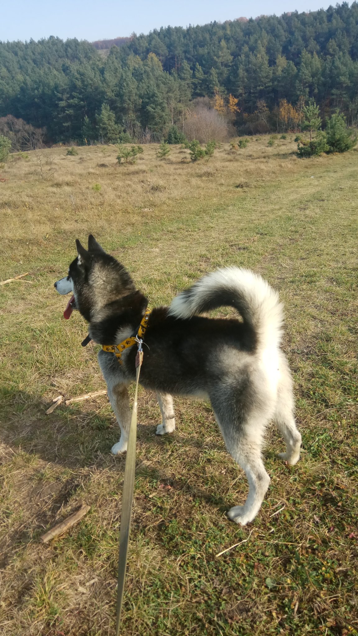 eDOhcEfunp1d7wt's profile picture. 😉