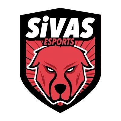 is an Esports club for FIFA Pro Clubs in VPG Platform...