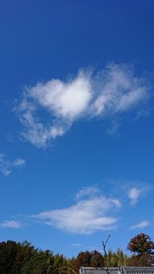 各種SNSをいつまで経っても使いこなせず悪戦苦闘💦/
ほぼほぼ皆さまの愛ある呟きを心震わせながら読ませていただく毎日/
とことん絡み下手なため、ご無礼ながら無言フォローやフォローなし｢いいね💜｣ をさせていただいています🙏/
何卒お許しくださいませ/
💛🐥💛🐥🐰💜🐨🐹🐱🐿🐥🐻🐰💜