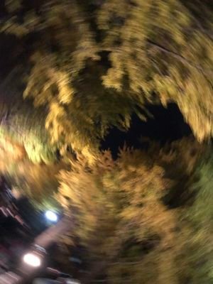 A_hijouguchida's profile picture. 北大動物園サークル「プ（ふぇ）」公式アカウントです！！ 活動理念is手稲 活動内容is人間動物園を作る モノポリー知ってる？ 答えによってはぶっ飛ばす❗