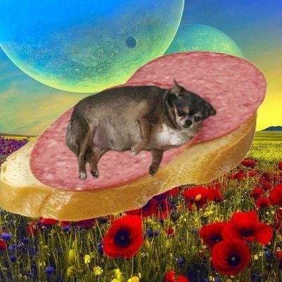 VTCsLiygmNWWbp0's profile picture. 