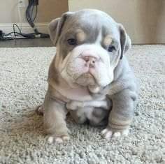 Pilar16791097's profile picture. 