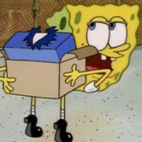 insolit porn ๐ (@insolitporn) 's Twitter Profile