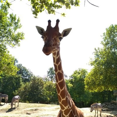 Rachou_23's profile picture. 