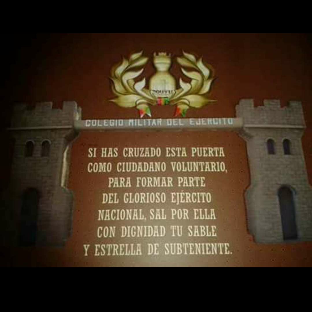 OsOrtizM's profile picture. TigreTon :3