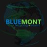 Bluemont's profile picture. Data storage, architecture, and presentation consulting firm