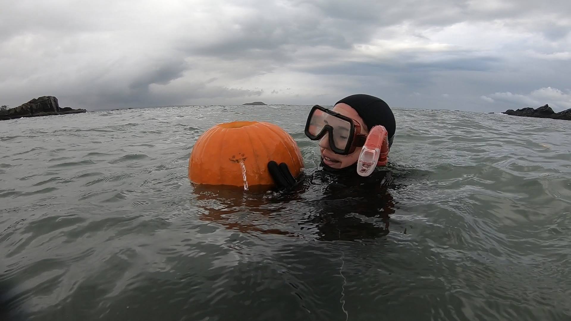 Three Seas Masters student interested in marine biology and coastal resilience @NUMarSci
