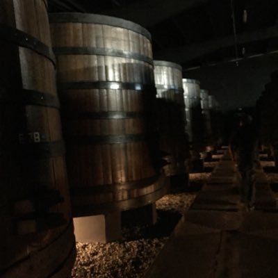 zumoysazon's profile picture. capacitación en servicio de A y B