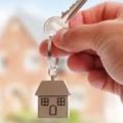 DamalieSheila's profile picture. 