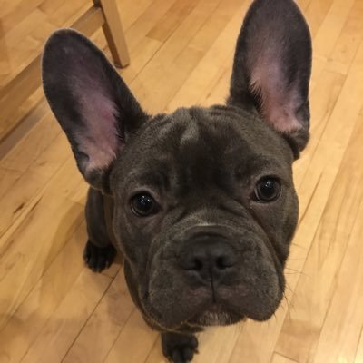 rodneyknowledge's profile picture. my opinions are my own