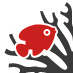 REDSEARESEARCH's profile picture. RED SEA RESEARCH is a non-profit organisation dedicated to providing professional training to recreational divers.