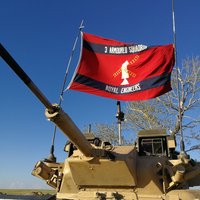 3ArmdEngrSqn (@3armdengrsqn) 's Twitter Profile