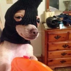 MrBolt16's profile picture. Yo I do stream sometimes https://t.co/M3D0ARa3JM
April the first btw