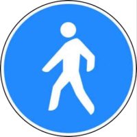 CDMX Peatonal (@cdmxpeatonal) 's Twitter Profile