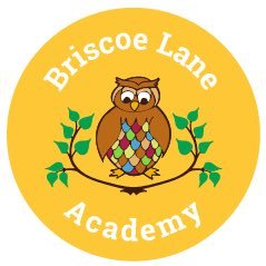Together Everyone Achieves More. Part of the Wise Owl Trust. Contact: admin@briscoe.manchester.sch.uk