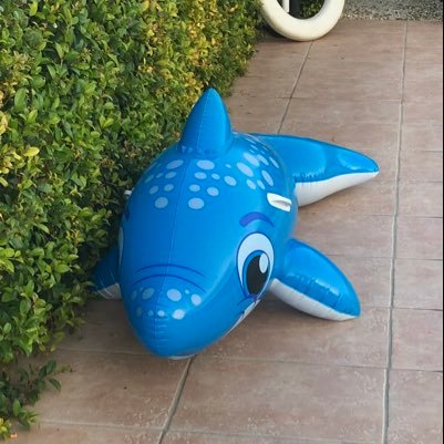 Travelhacker2's profile picture. 