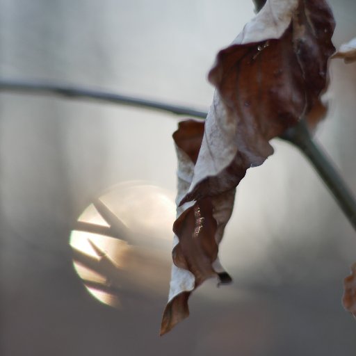 MuessigGamer's profile picture. 