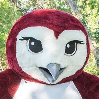 In 2017, TWU selected a new mascot to represent Texas Woman’s University. The barn owl was selected — the “owl of Minerva” — that’s as fierce as it is wise.