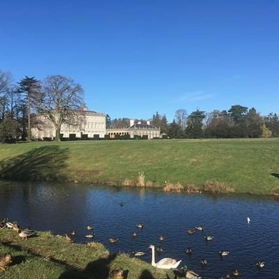 CASTLETOWN: 18th Century House & Parklands
Contact us at castletown@opw.ie