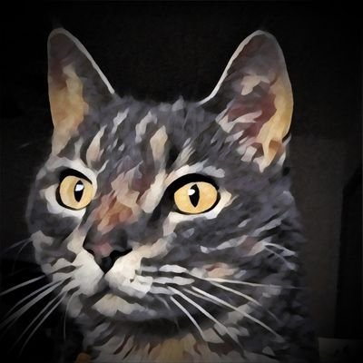 🌸 Cat Is My Co-Pilot 🌸さんのプロフィール画像