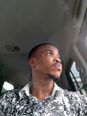 Software Developer.
Elect/elect engineer.
Forex technical analyst.
STEM instructor.