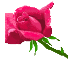 sue wade - @sue0905 - Twitter